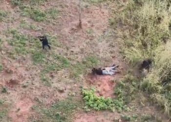 Imágenes revelan entrenamientos armados en Yasy Cañy y ganaderos exigen mayor presencia del Estado