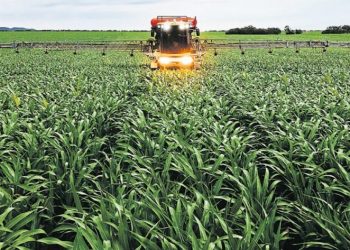 Los costos de producción volvieron a caer en junio y ya acumulan cinco meses seguidos a la baja