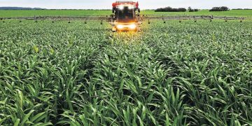 Los costos de producción volvieron a caer en junio y ya acumulan cinco meses seguidos a la baja