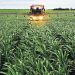 Los costos de producción volvieron a caer en junio y ya acumulan cinco meses seguidos a la baja