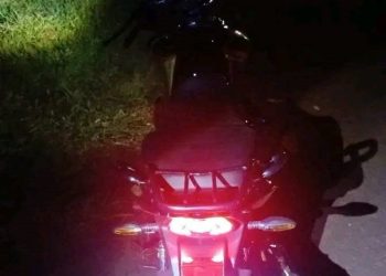 Impactó contra un perro, cayó al asfalto y murió tras arrollamiento múltiple