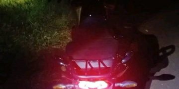 Impactó contra un perro, cayó al asfalto y murió tras arrollamiento múltiple
