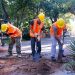 Avanza el proyecto de revitalización de la Plaza Uruguaya con la incorporación de aportes ciudadanos