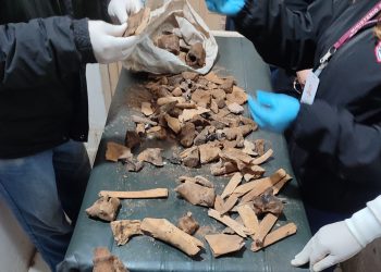 Hallan restos óseos presumiblemente humanos durante obras de excavación en el Centro de Prevenidos