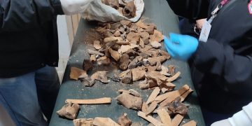 Hallan restos óseos presumiblemente humanos durante obras de excavación en el Centro de Prevenidos