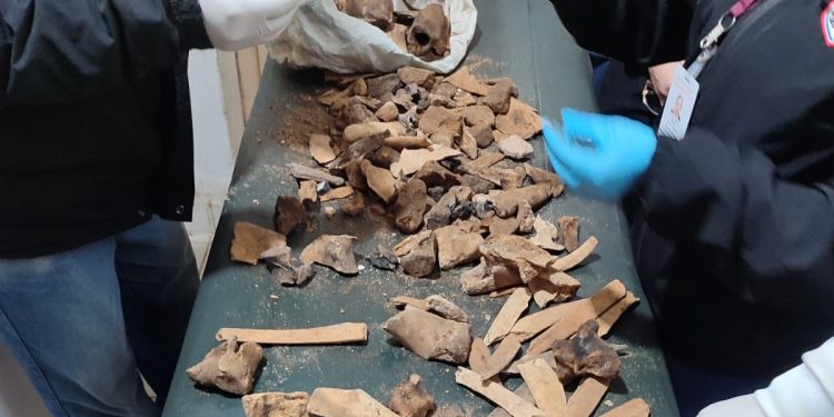 Hallan restos óseos presumiblemente humanos durante obras de excavación en el Centro de Prevenidos
