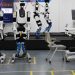 Riesgo «inaceptable»: EE.UU prohibió robots humanoides de fabricación extranjera