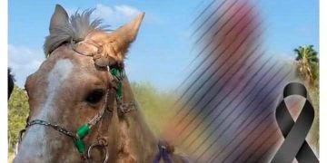 Imputan a padres del niño que falleció tras caer de un caballo durante una carrera en Caaguazú