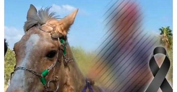 Imputan a padres del niño que falleció tras caer de un caballo durante una carrera en Caaguazú