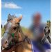 Imputan a padres del niño que falleció tras caer de un caballo durante una carrera en Caaguazú
