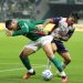 Libertadores 2026: Cerro Porteño y el desafío de eliminar a Palmeiras en 8vos de final