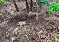 Tres imputados por crimen de adolescente en Caazapá