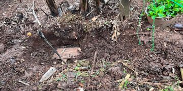 Tres imputados por crimen de adolescente en Caazapá