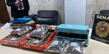 Con kits de camping intentaron camuflar marihuana enviados desde EE.UU