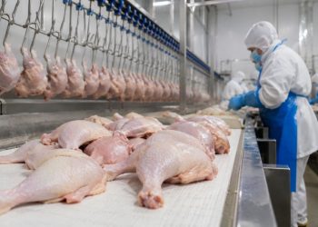 Exportaciones paraguayas de origen animal generan USD 1.439 millones hasta julio