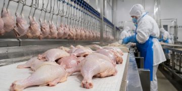 Exportaciones paraguayas de origen animal generan USD 1.439 millones hasta julio