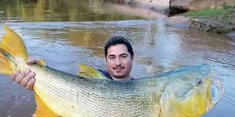 Investigan supuesto accidente aéreo en Alto Paraguay