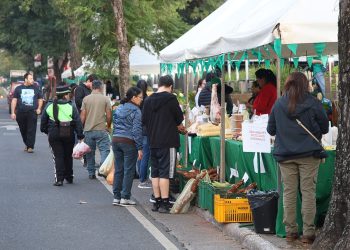 MAG organiza 10 ferias de la Agricultura Familiar en distintos puntos del país