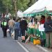 MAG organiza 10 ferias de la Agricultura Familiar en distintos puntos del país