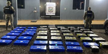 Incautan más de 700 kilos de marihuana en Ypejhú