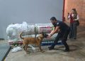 Intentaron ingresar carga de droga desde Miami para triangularla hacia Brasil