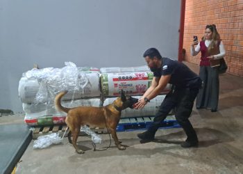 Intentaron ingresar carga de droga desde Miami para triangularla hacia Brasil