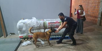 Intentaron ingresar carga de droga desde Miami para triangularla hacia Brasil