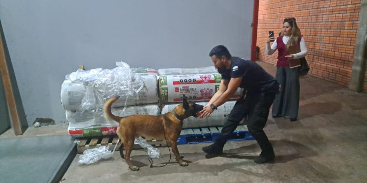Intentaron ingresar carga de droga desde Miami para triangularla hacia Brasil