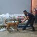 Intentaron ingresar carga de droga desde Miami para triangularla hacia Brasil