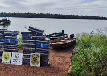 Fuerzas brasileñas incautan más de media tonelada de marihuana paraguaya en zona fronteriza
