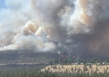 Incendios forestales obligan a evacuaciones en el este de Washington