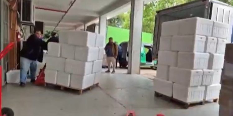 Más de 120 medicamentos llegan al IPS en inicio del plan de reabastecimiento
