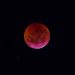 Invitan a observar la «Luna de Sangre» en la Costanera de Asunción