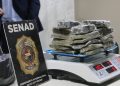 Detectan portabultos para motocicleta repleto de marihuana en aeropuerto