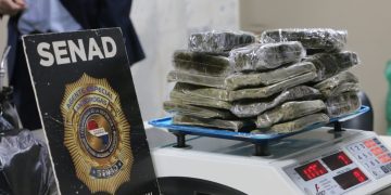 Detectan portabultos para motocicleta repleto de marihuana en aeropuerto