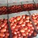 Sobreoferta de tomate genera preocupación por posible caída de precios