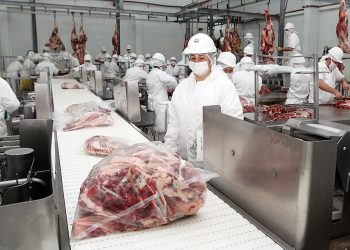 Paraguay habilita la totalidad de sus frigoríficos para Chile y apunta al sector gastronómico de alto valor