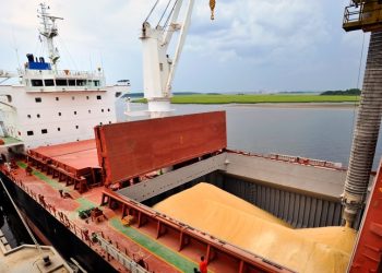 Soja: exportaciones paraguayas generaron USD 3.513 millones hasta julio