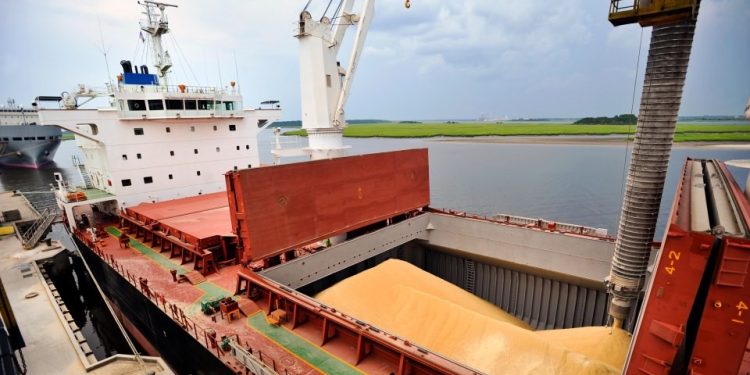 Soja: exportaciones paraguayas generaron USD 3.513 millones hasta julio