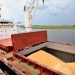 Soja: exportaciones paraguayas generaron USD 3.513 millones hasta julio