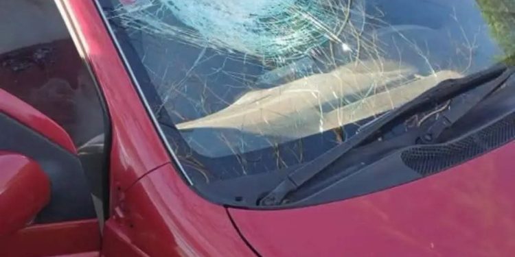 Objeto que habría salido despedido de un camión mató a una mujer