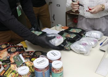 SENAD intercepta marihuana oculta en alimentos para reptiles y un cargador