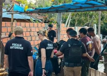 La Fiscalía y la SENAD incautan más de 1.300 kilogramos de marihuana tras allanamiento en Ypané