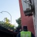 Entró a una casa, se topó con el perro y terminó atrapado en el tejado