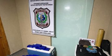 Incautan cocaína y detienen a cuatro personas tras allanamiento de una carnicería en PJC