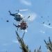 Fallecen dos pilotos en colisión de helicópteros mientras apagaban incendio