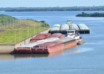 Paraguay logró exportar 75 productos a nuevos destinos internacionales entre enero y julio