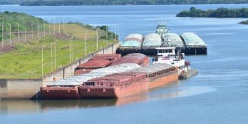 Paraguay logró exportar 75 productos a nuevos destinos internacionales entre enero y julio