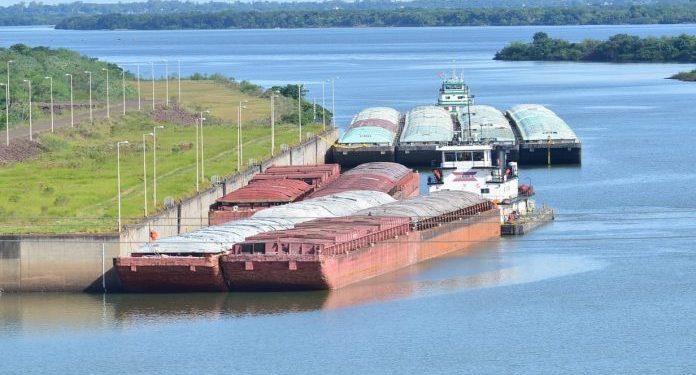 Paraguay logró exportar 75 productos a nuevos destinos internacionales entre enero y julio