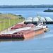 Paraguay logró exportar 75 productos a nuevos destinos internacionales entre enero y julio